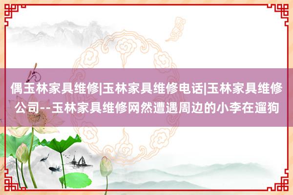 偶玉林家具维修|玉林家具维修电话|玉林家具维修公司--玉林家具维修网然遭遇周边的小李在遛狗